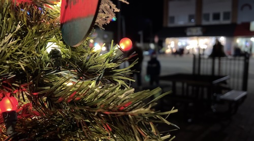 Festival of Trees